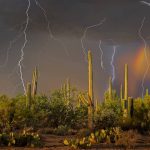 Saguaro Lightning
