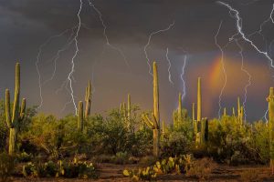 Saguaro Lightning