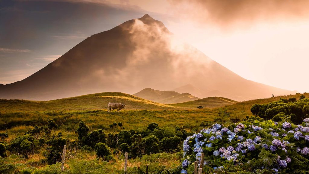 Pico Island