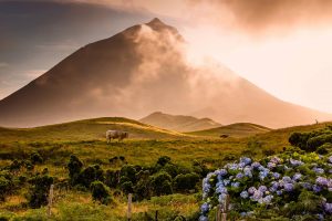 Pico Island