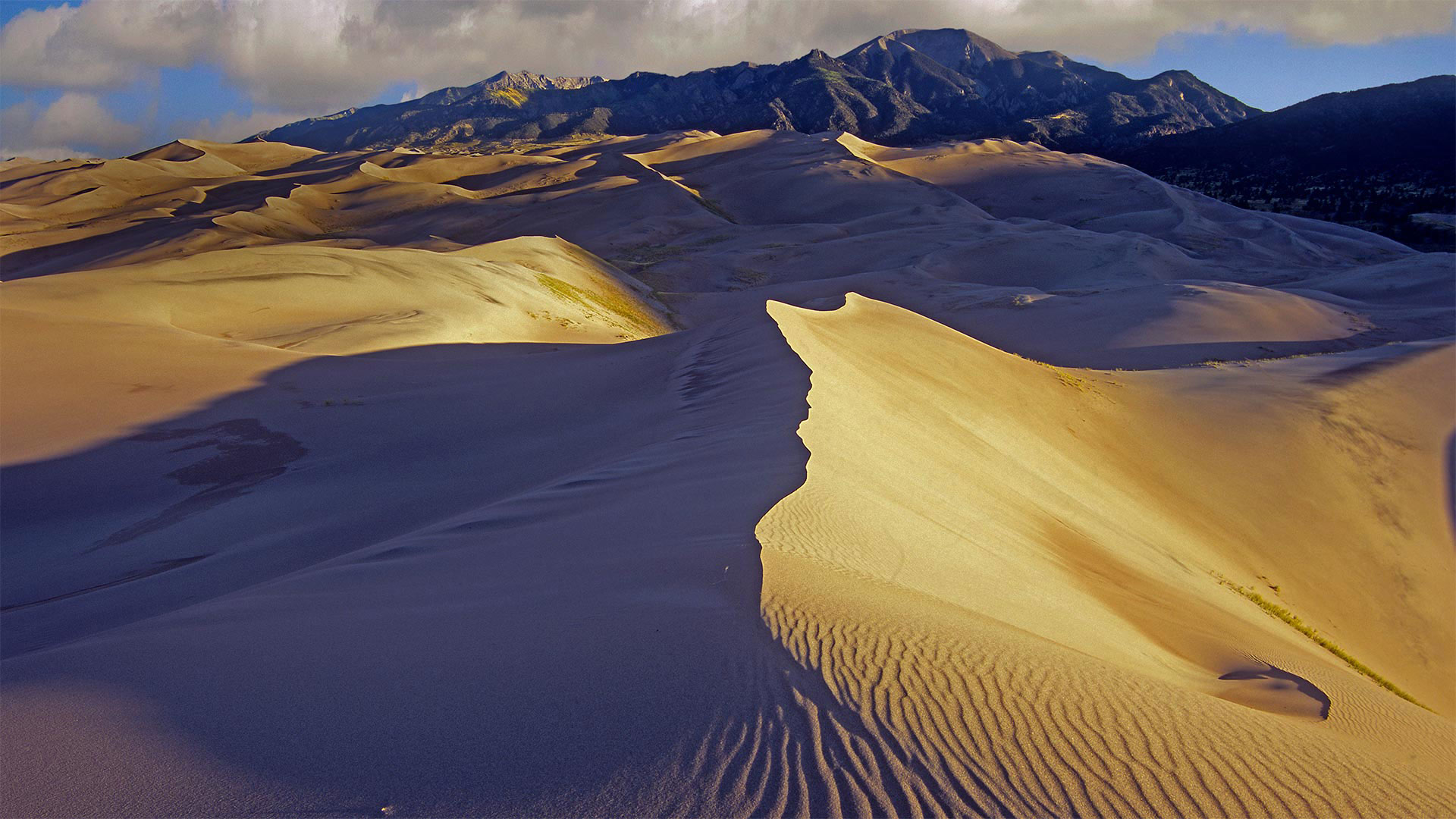 Sangre Cristo Dunes