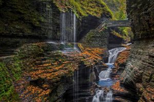 Watkins Glen