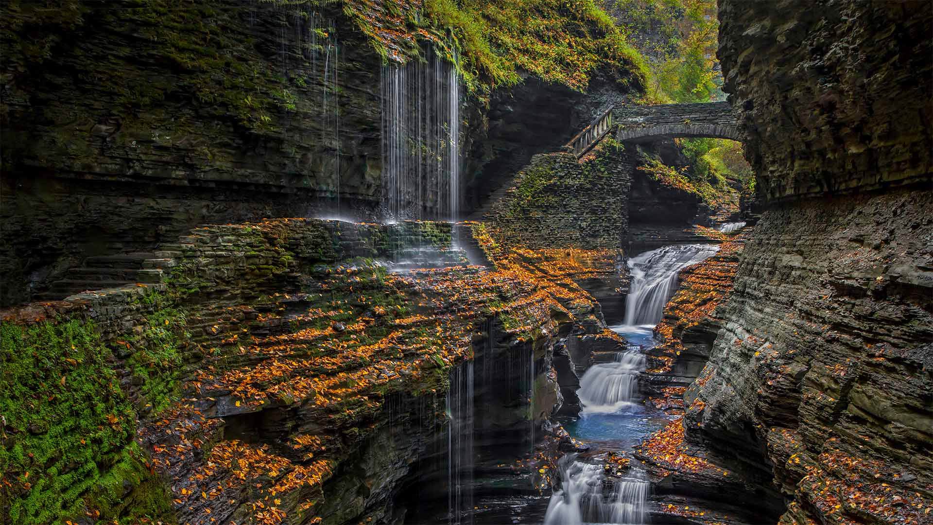 Watkins Glen