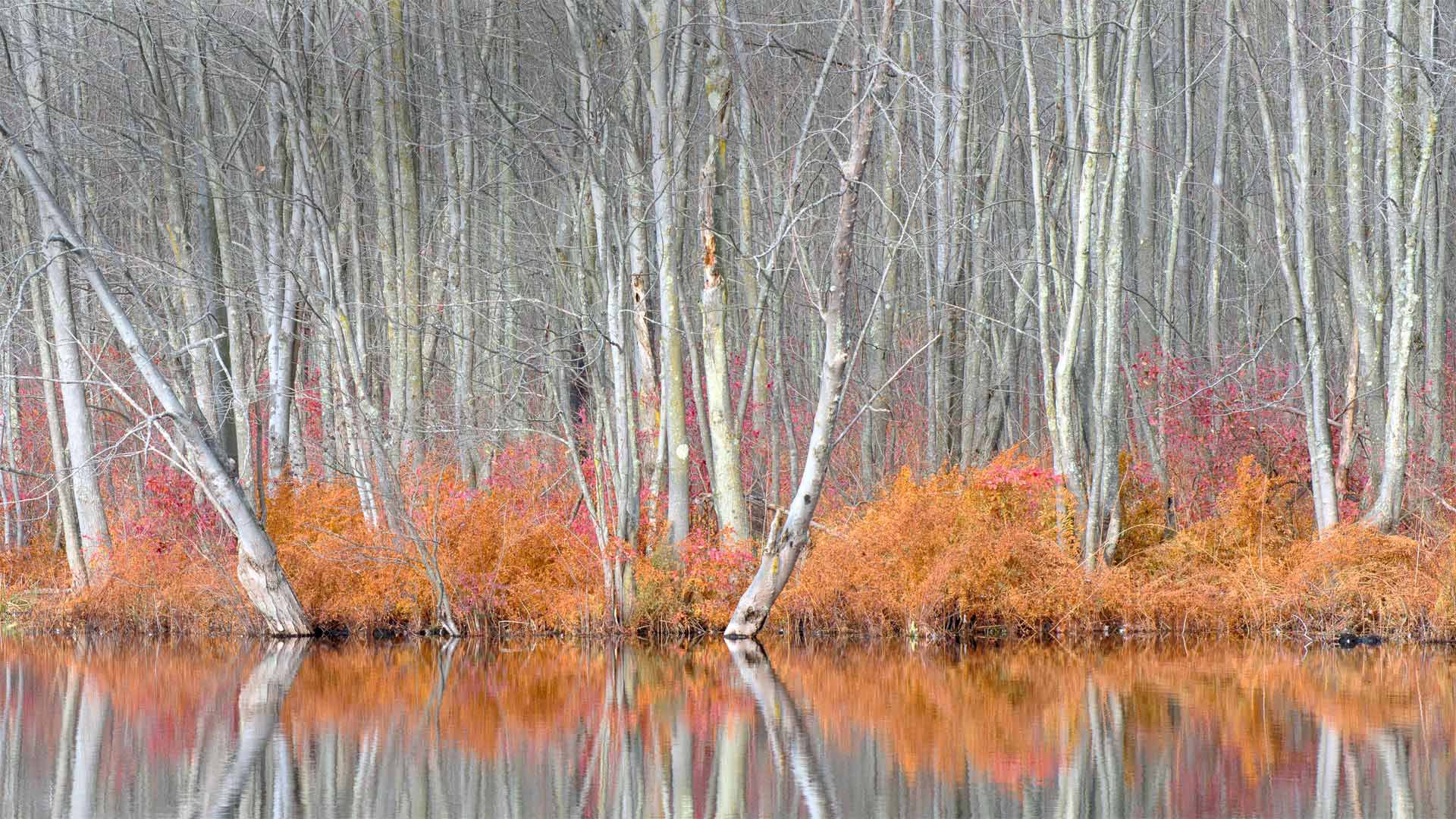 Beaver Lake Nature Center