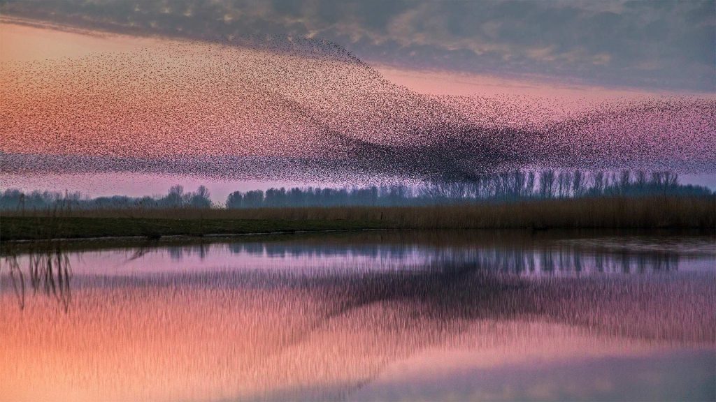 Lauwersmeer NP