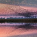 Lauwersmeer NP