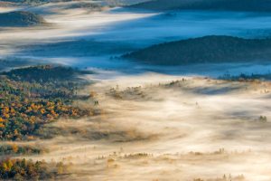 Pisgah National Forest