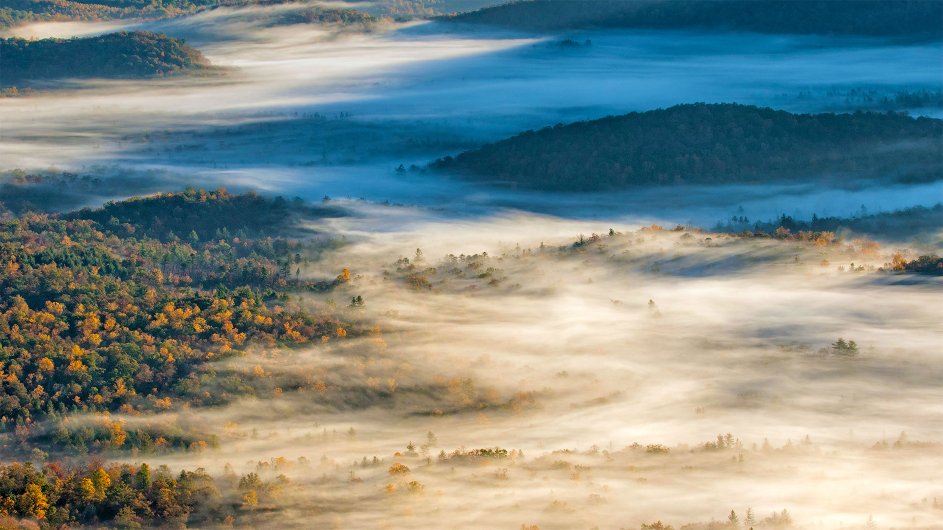 Pisgah National Forest