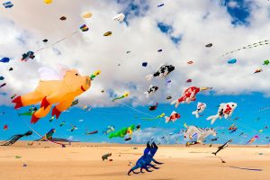 Corralejo Kites