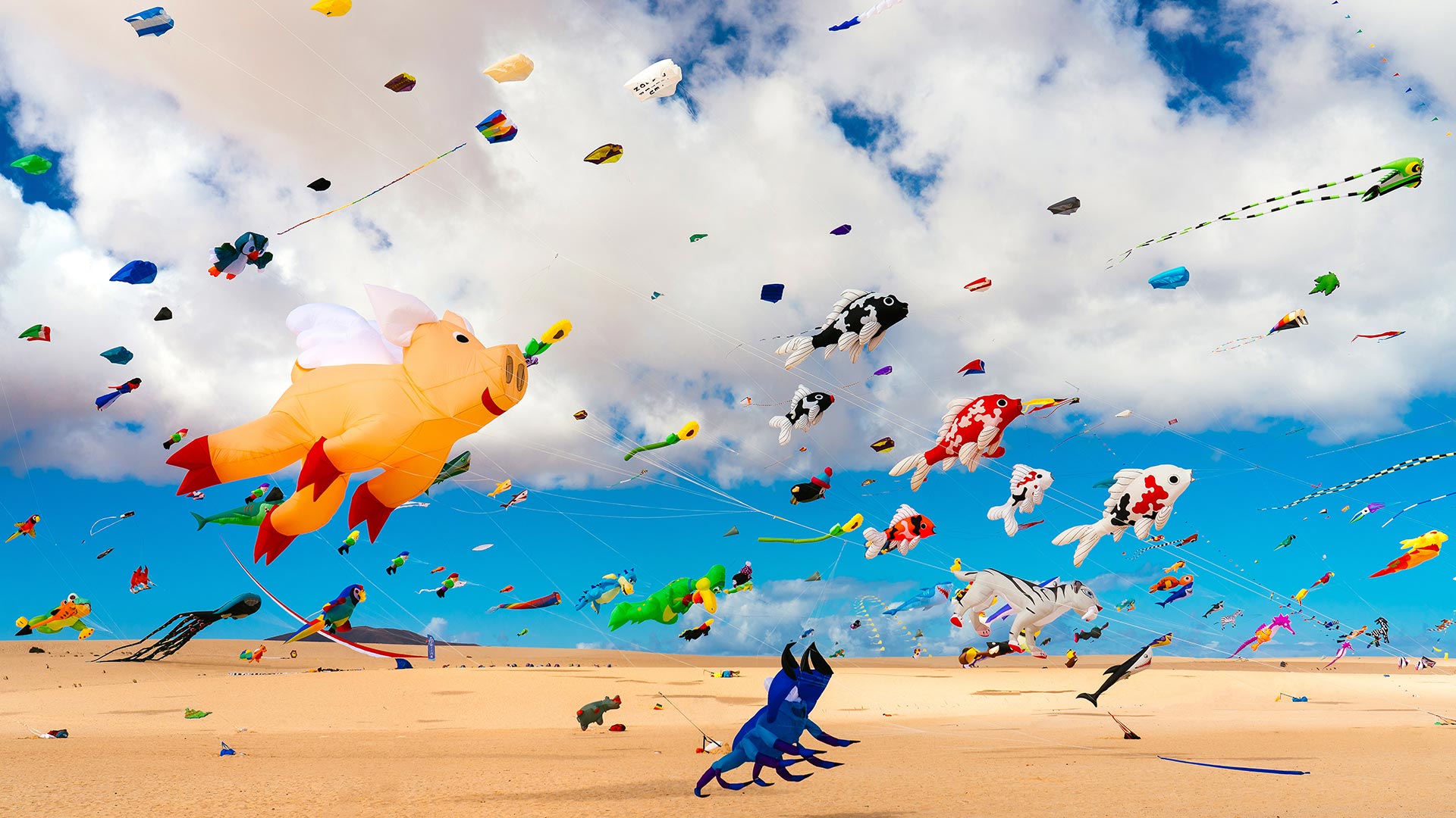 Corralejo Kites – Bing Wallpaper Download