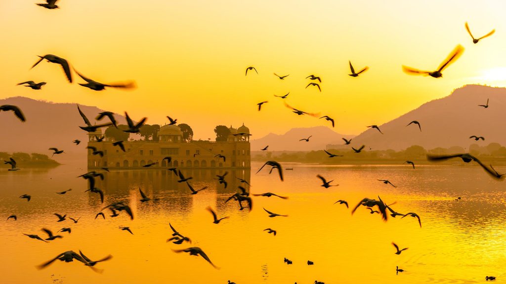 Jal Mahal2