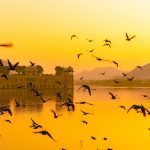 Jal Mahal2