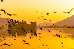 Jal Mahal2