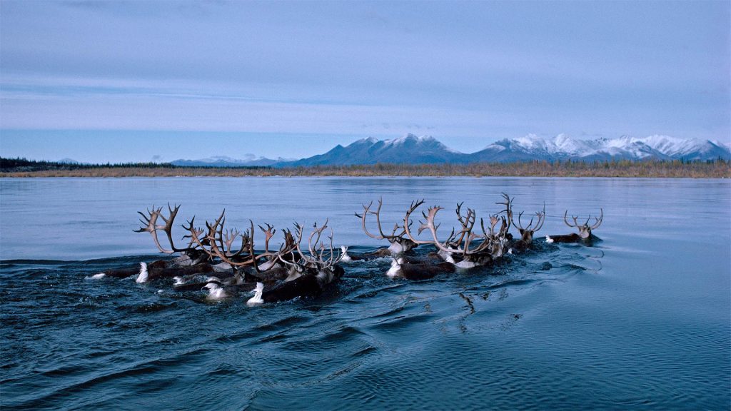 Kobuk River