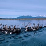 Kobuk River