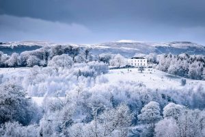 Barnetts Demesne