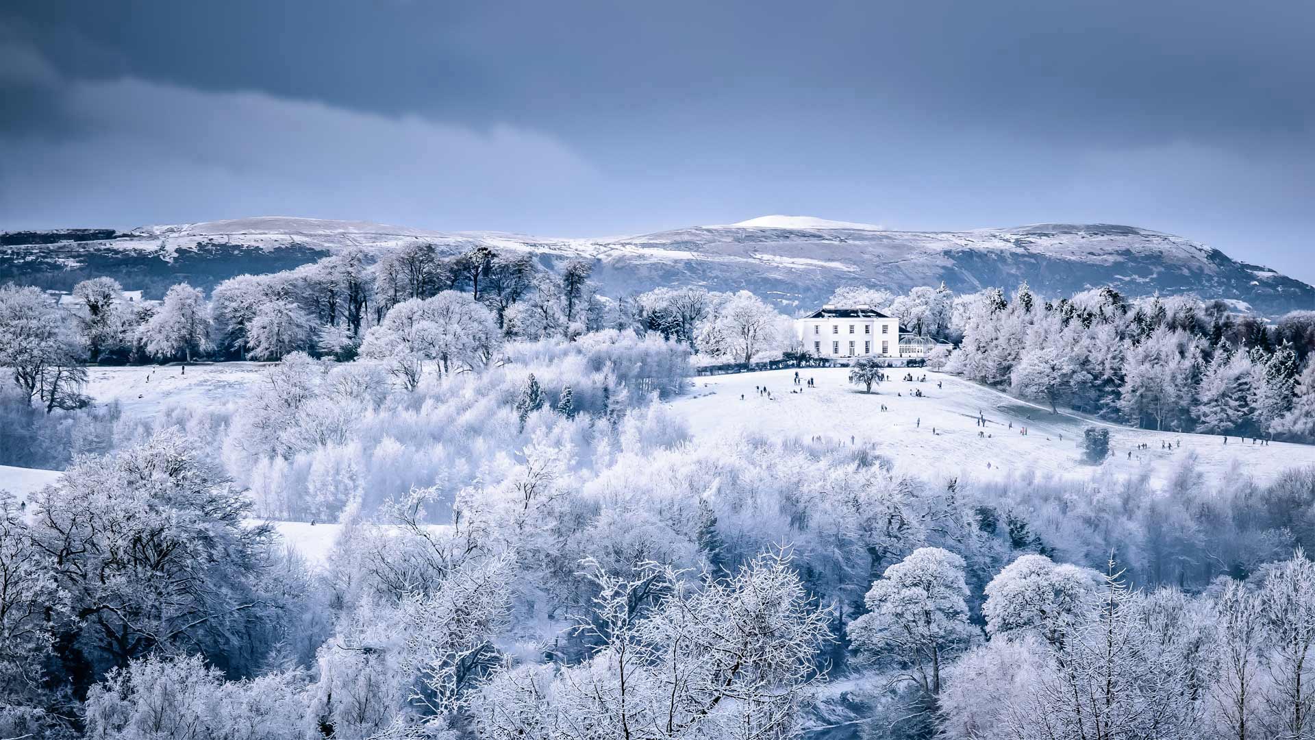 Barnetts Demesne