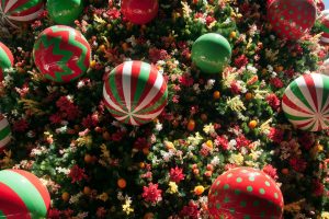 Martin Place Xmas