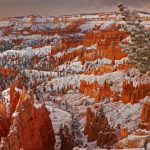 Winter Bryce