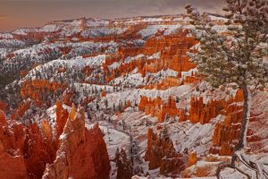 Winter Bryce