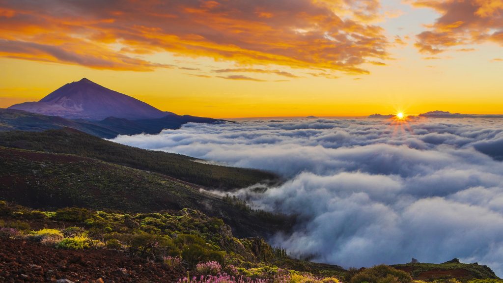 Teide NP