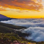 Teide NP