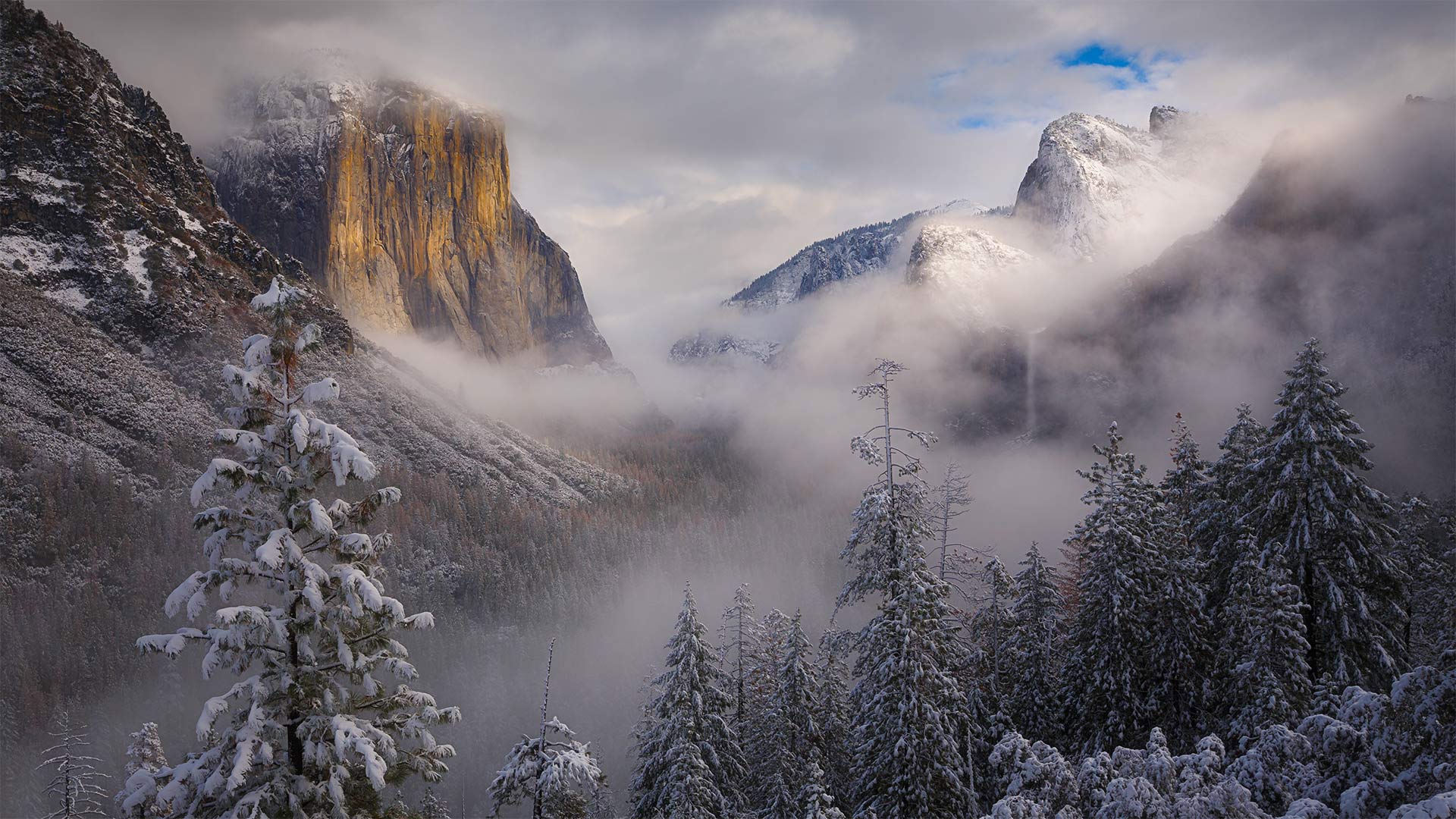 Yosemite National Park