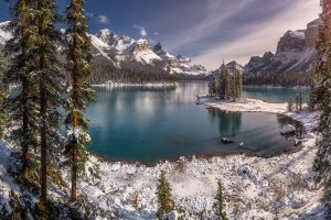 Maligne Winter