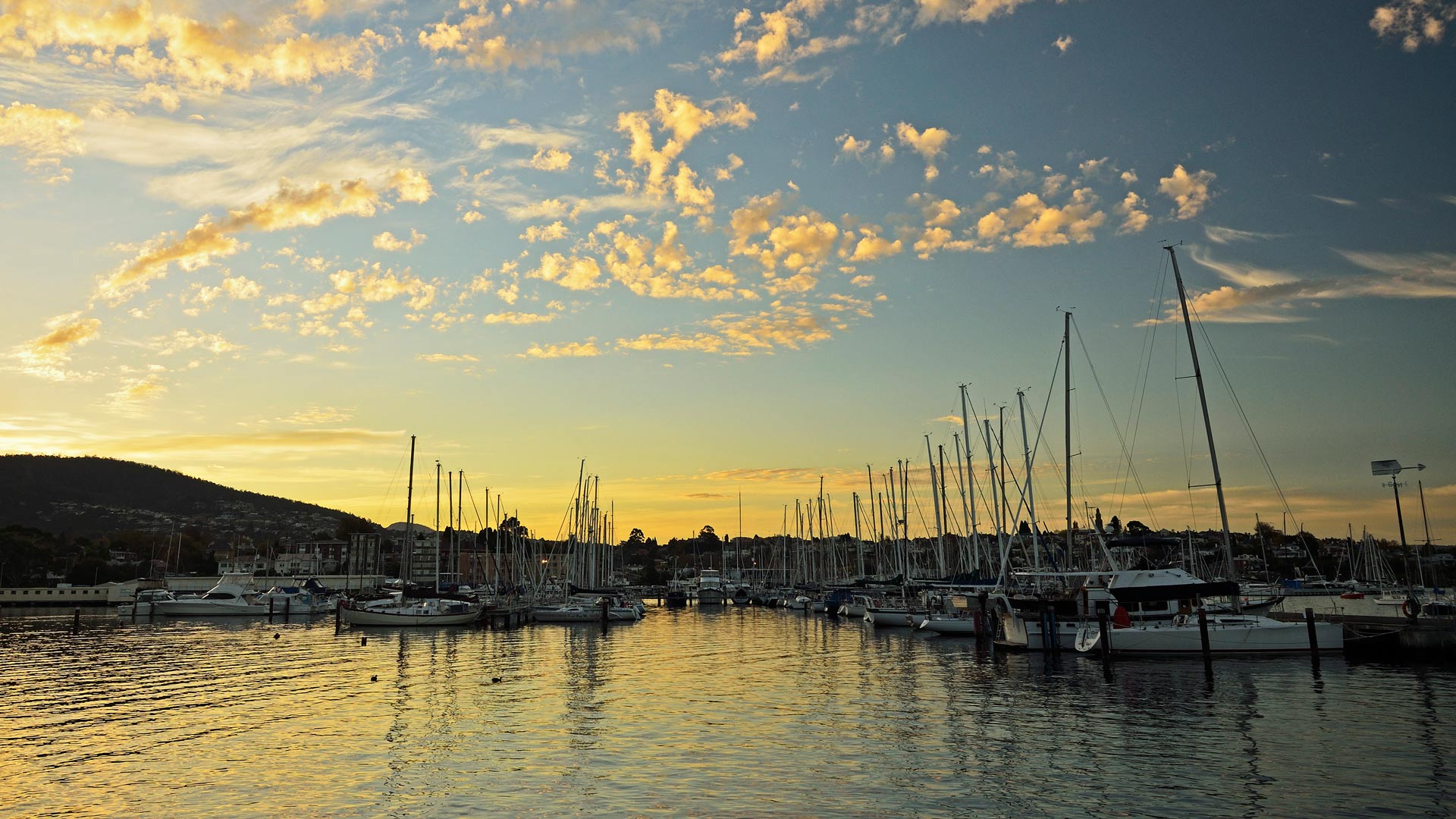 Sandy Bay Marina