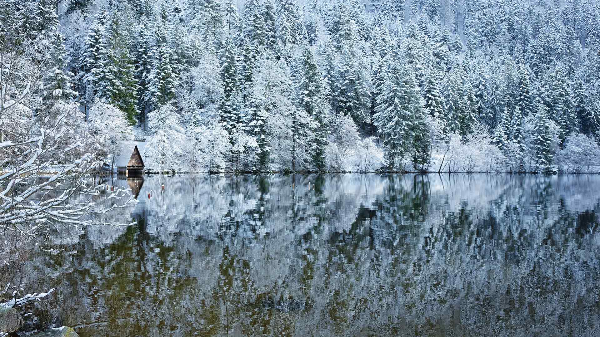 Winter Lake