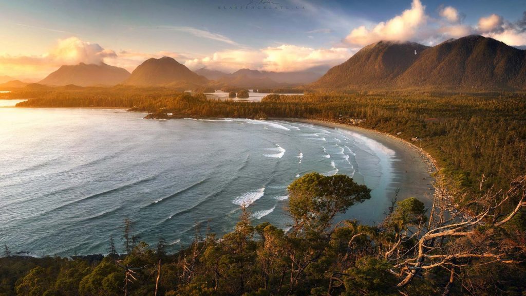 Tofino Bay