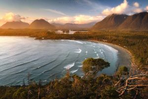 Tofino Bay