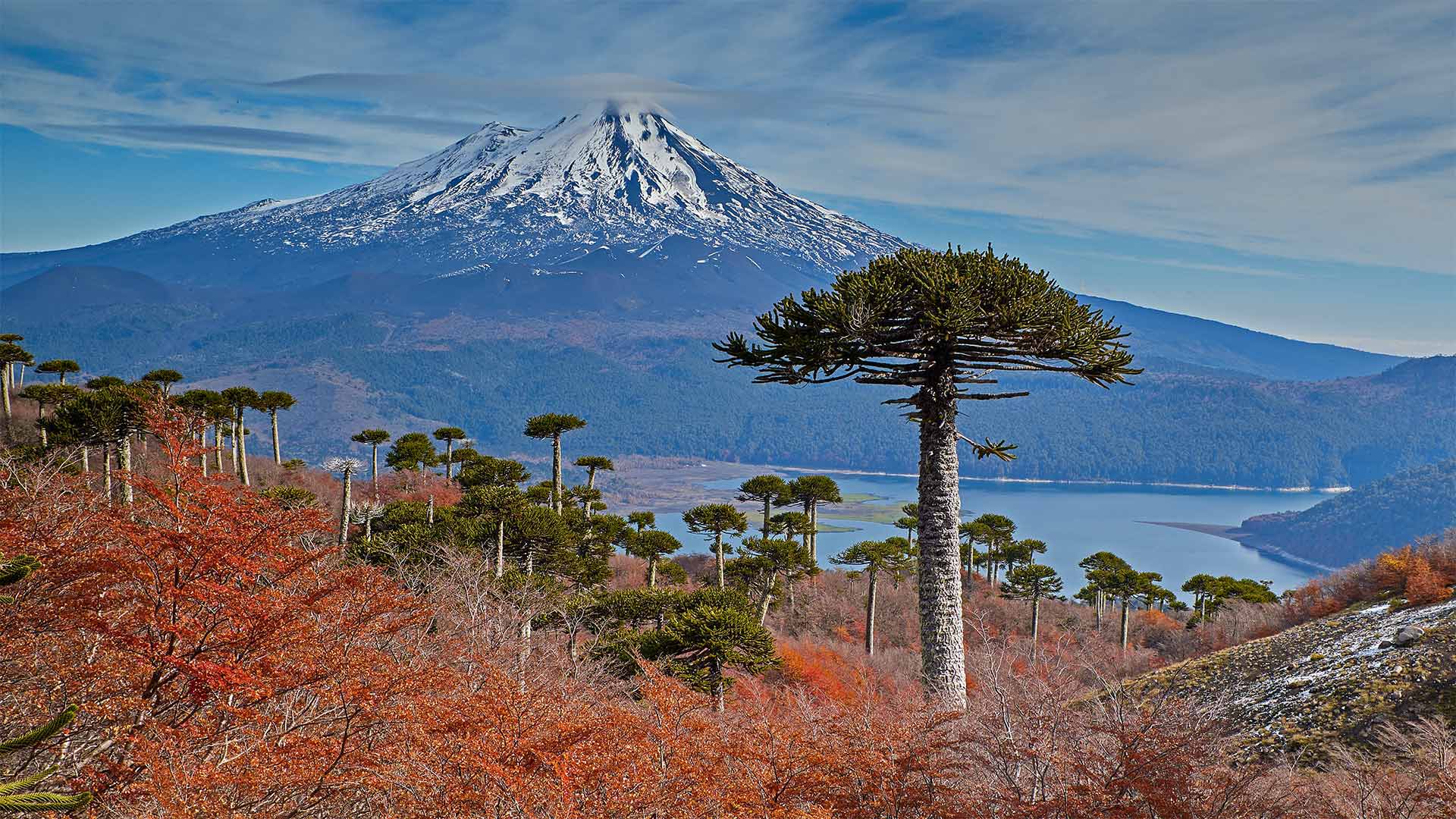 Volcano Llaima