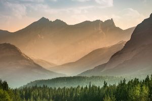 Banff Mist