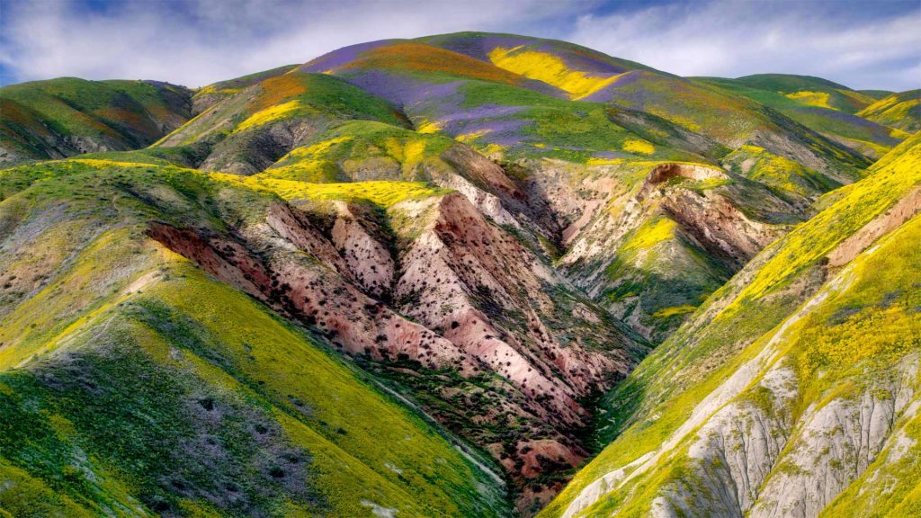 Carrizo Plain