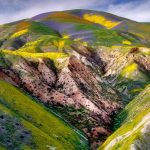 Carrizo Plain