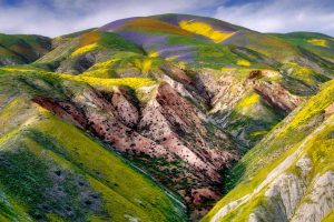 Carrizo Plain