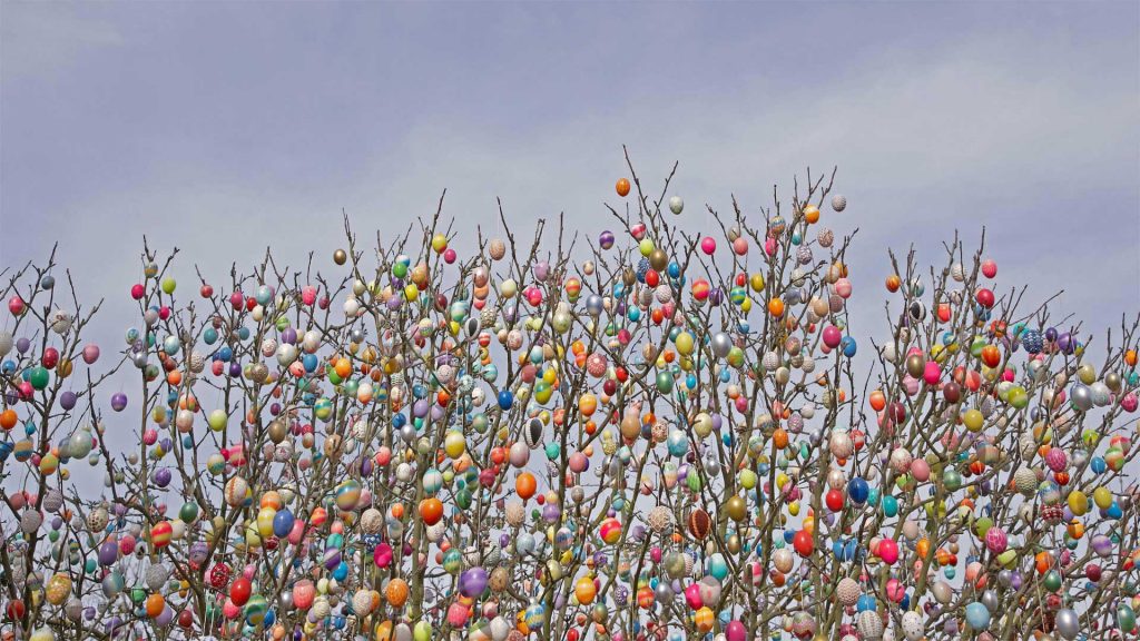 Egg Tree