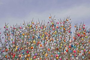 Egg Tree