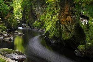 Mossy Canyon