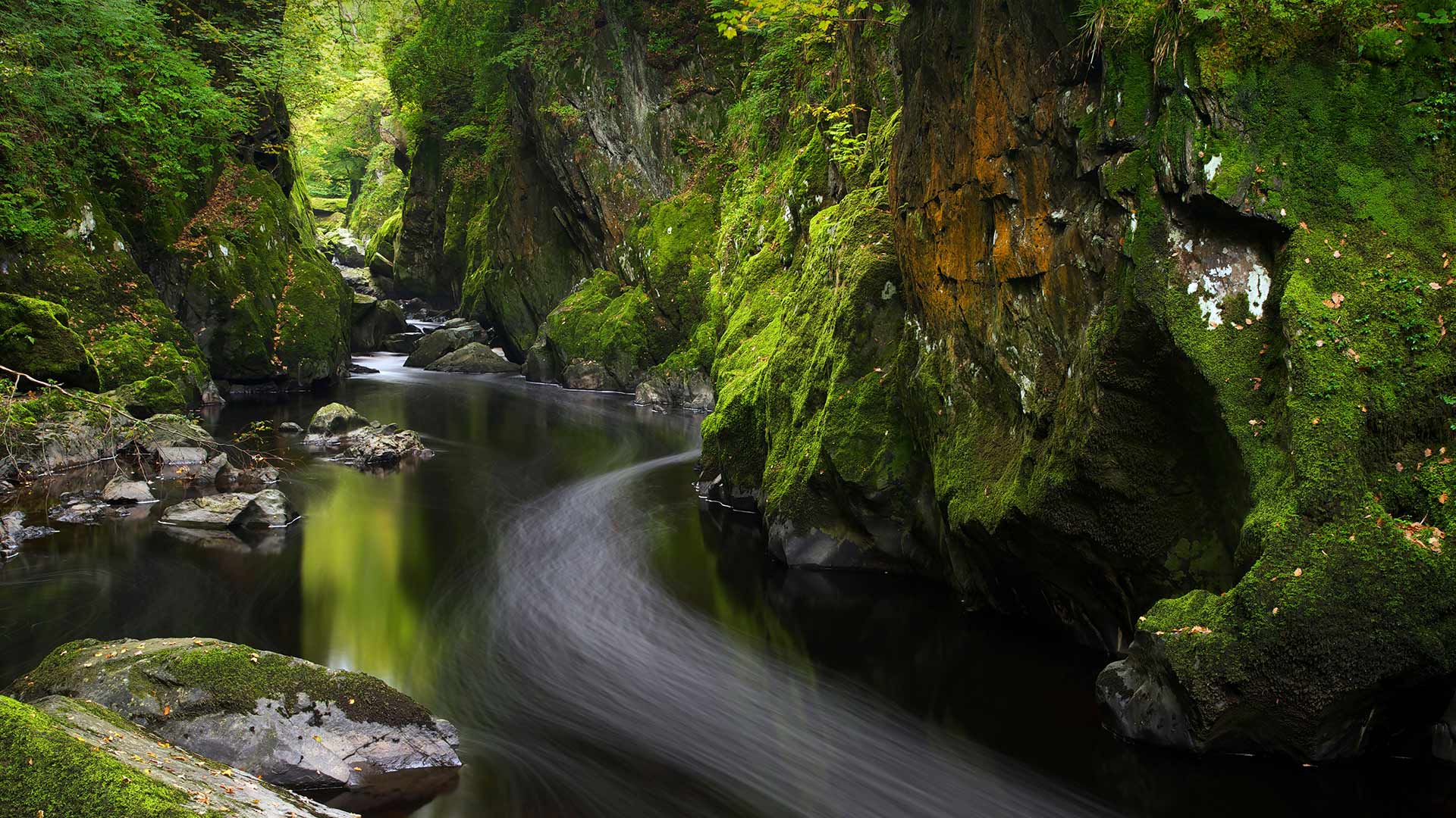 Mossy Canyon