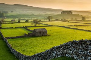 Wensleydale