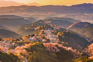 Yoshinoyama Spring