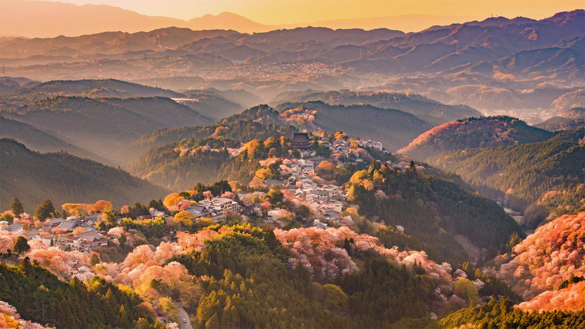 Yoshinoyama Spring