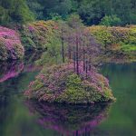 Glen Etive