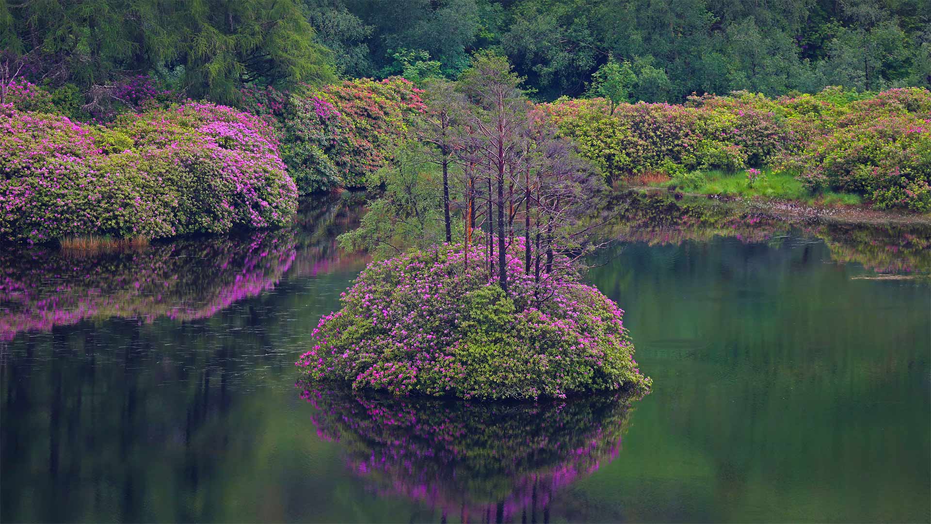 Loch Etive Wallpaper