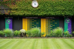 Wimbledon Boards