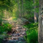 Appalachian Trail