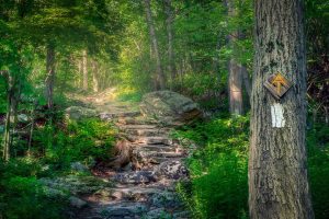 Appalachian Trail