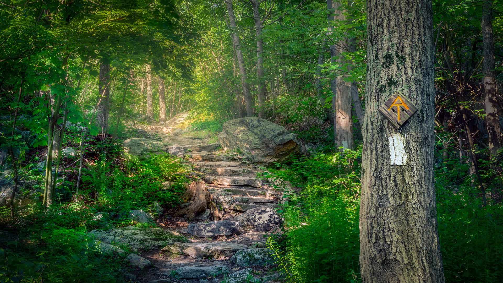 Appalachian Trail